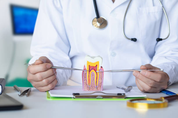 Best Emergency Dental Care for Broken or Chipped Teeth in Middlebury, IN